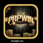 prpwin game