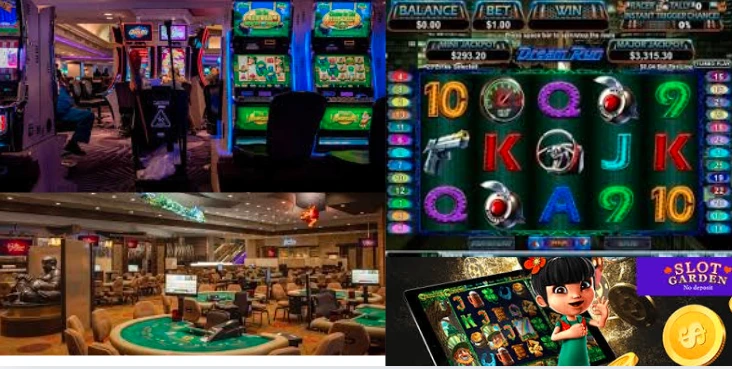 Slots garden casino