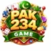 pak234 game
