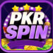 pkrspin8 game