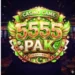 5555pak game