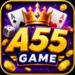 A55 Game