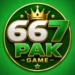 667 pak game