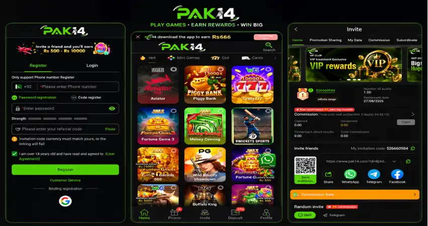 Pak14 game